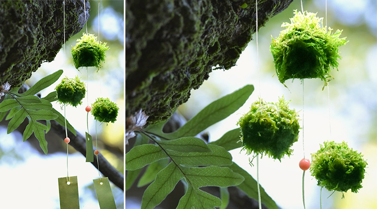 孫運璿紀念館 城市中的自然體驗 攀樹 Diy 幸福苔玉球 Niceday玩體驗