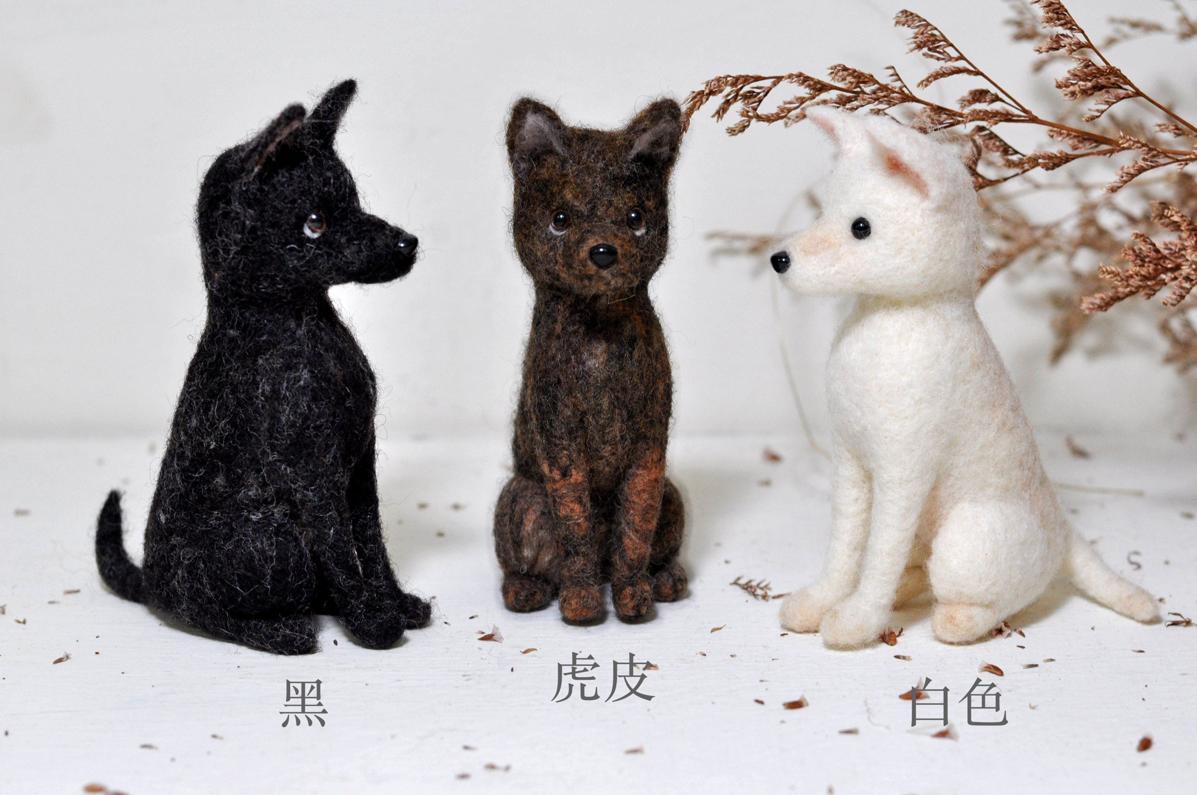 毛起來玩 台灣動物系列初級班 台灣犬 Niceday